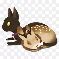 鼻子尾猫男孩-空若网 鼻子尾猫男孩-空若网