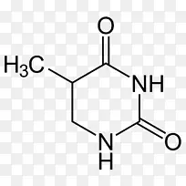 �ͱ�������������������һ���ᰱ����-������