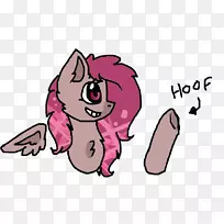 猫马鼻子猫-空若网 猫马鼻子猫-空若网