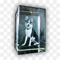 �������.����-������