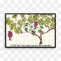 开花植物长方形设计-空若网 开花植物长方形设计-空若网