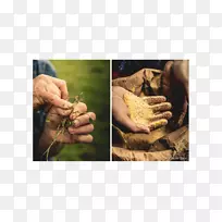 Ĵָ-�ҵ�����-������