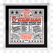 弦曼陀林-班卓-地球木-电吉他-空若网 弦曼陀林-班卓-地球木-电吉他-空若网