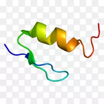 WT1��ĸϸ����WAGR�ۺ��������ְ�����-������