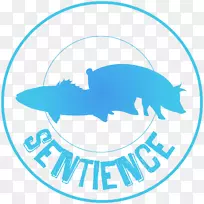 保险杠贴纸越南罐装贴纸动物-空若网 保险杠贴纸越南罐装贴纸动物-空若网