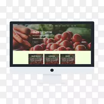 ��ʾ�豸��ý����ʾ���.��ҳģ������ıȽ�-������