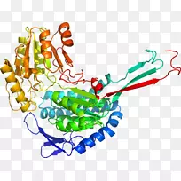 ���������鱦�л�����������鱦����-������