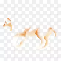 桌面壁纸电脑有机体耳电脑-空若网 桌面壁纸电脑有机体耳电脑-空若网