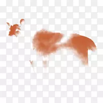 桌面壁纸鼻子近距离电脑天空-空若网 桌面壁纸鼻子近距离电脑天空-空若网