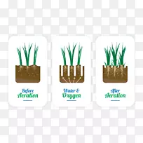 Æ·ÅÆ±êÖ¾²Ý-´º²Ý-¿ÕÈôÍø Æ·ÅÆ±êÖ¾²Ý-´º²Ý-¿ÕÈôÍø