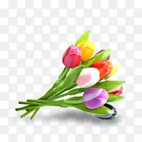 郁金香切花花束郁金香-空若网 郁金香切花花束郁金香-空若网