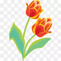 郁金香切花设计剪贴画郁金香-空若网 郁金香切花设计剪贴画郁金香-空若网