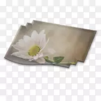 矩形-空若网 矩形-空若网