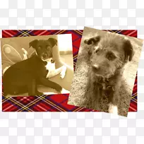 ������ʥ��С��-������