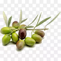 �л�ʳƷ����;������-������