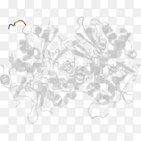 白色设计-空若网 白色设计-空若网