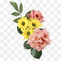 花园玫瑰花-空若网 花园玫瑰花-空若网