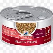 猫食小猫狗科学饮食-空若网 猫食小猫狗科学饮食-空若网