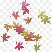 花卉设计花瓣叶型-叶型-空若网 花卉设计花瓣叶型-叶型-空若网