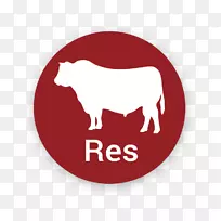 标志品牌栗色字体-空若网 标志品牌栗色字体-空若网