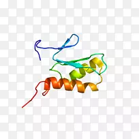 ����ƽ����Ƶ��������-������