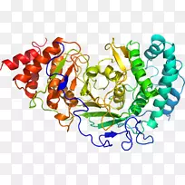 艺术身体珠宝有机体剪贴艺术珠宝首饰-空若网 艺术身体珠宝有机体剪贴艺术珠宝首饰-空若网