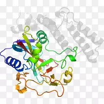平面设计线艺术剪贴画设计-空若网 平面设计线艺术剪贴画设计-空若网