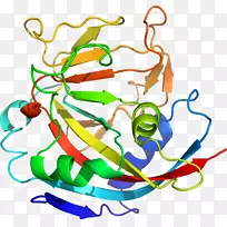 线点剪贴画-线-空若网 线点剪贴画-线-空若网