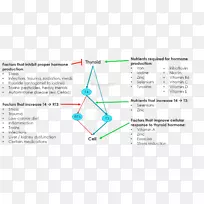 �ߵ��ͼ-��-������