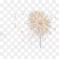 �Գư�ɫ�ذ�ͼ��-�̻�����-������