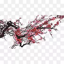 ÷����-�绨ʢ�����޻�����-������