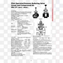 ֽ��ɫ�������-������