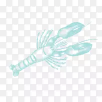 托基-空若网 托基-空若网