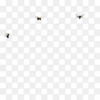 昆虫授粉器白线字体昆虫-空若网 昆虫授粉器白线字体昆虫-空若网