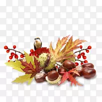 巴索卡食品牛奶欧洲马-栗子.de-L.O.L.-空若网 巴索卡食品牛奶欧洲马-栗子.de-L.O.L.-空若网