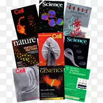 平面设计广告品牌科学海报动态海报-空若网 平面设计广告品牌科学海报动态海报-空若网