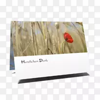 相框长方形-空若网 相框长方形-空若网