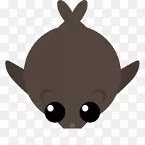 胡须,猫,蝙蝠,狗,鼻子,猫-空若网 胡须,猫,蝙蝠,狗,鼻子,猫-空若网