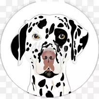 达尔马提亚狗繁殖非运动团体的鼻子小狗-空若网 达尔马提亚狗繁殖非运动团体的鼻子小狗-空若网