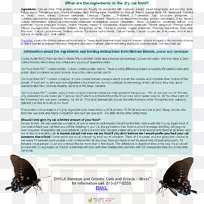 动物字体-暹罗-空若网 动物字体-暹罗-空若网