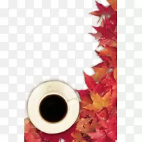 秋色-空若网 秋色-空若网