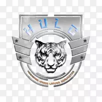 虎标车身首饰-12月25日。-空若网 虎标车身首饰-12月25日。-空若网