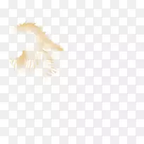 ��ë�-��ë-������