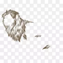 Óðà¹Î²Óð-¿ÕÈôÍø Óðà¹Î²Óð-¿ÕÈôÍø