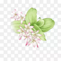 花卉设计插花艺术.花卉装饰元素-空若网 花卉设计插花艺术.花卉装饰元素-空若网