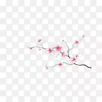 Adobe插画壁纸-花卉装饰图案-空若网 Adobe插画壁纸-花卉装饰图案-空若网