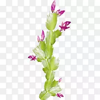 花卉设计.浮动装饰花卉设计-空若网 花卉设计.浮动装饰花卉设计-空若网