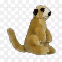 ½������ë�޶���&�ɰ�����߱���-���׶�Ұ�����ﱣ�����л���-������