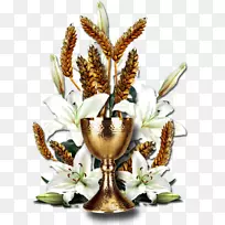 ������Ʋ;����׻���װ�������������-������