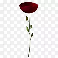 ˮ�ʻ���ˮ�ʻ�-ˮ�ʻ����ܴ��⻨��-������